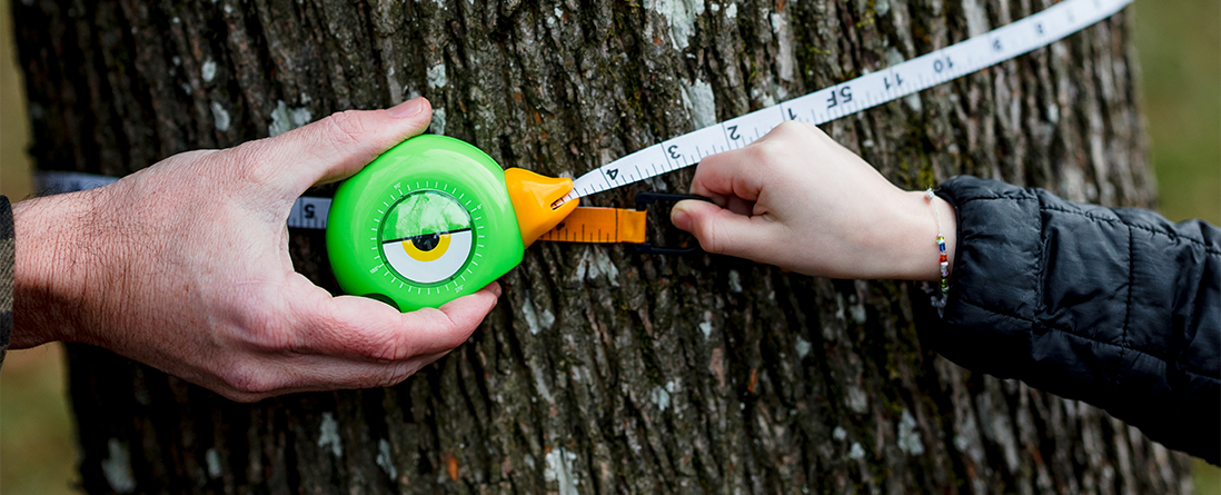 Handy Famm Fun Kids Red Bird Tape Measure – HandyFamm